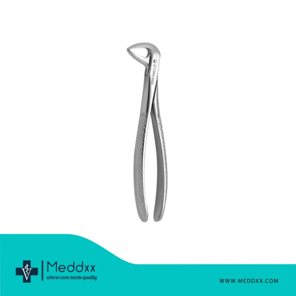 Curved Baby Tooth Forceps  For the Mandibular Part