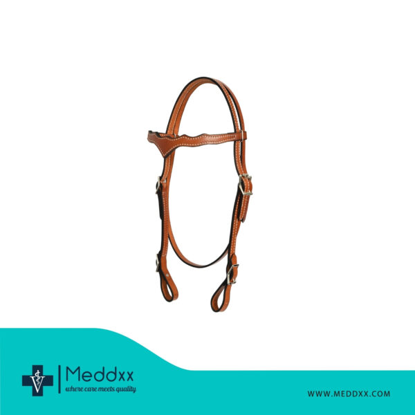 Leather Bridle