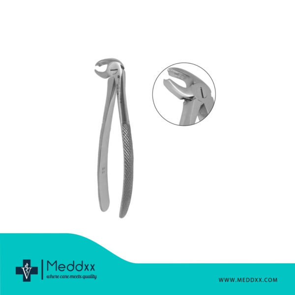 Lower Molar Forceps