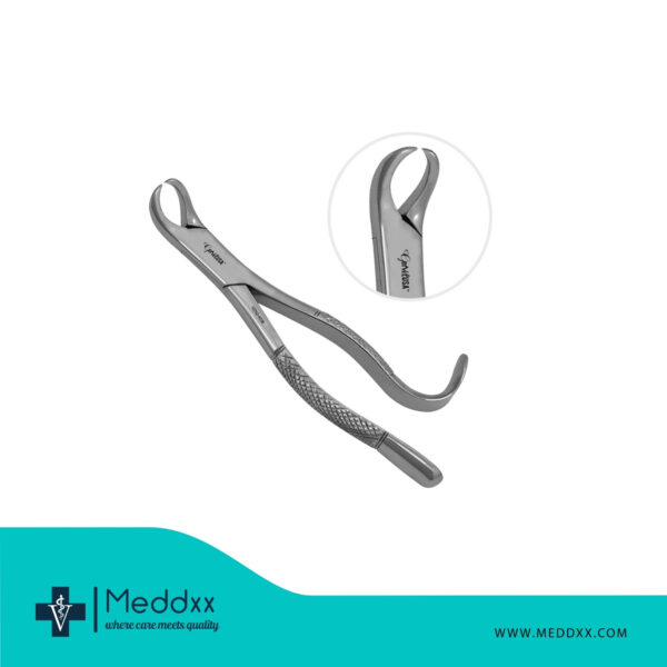 Lower Molar Forceps - Image 2