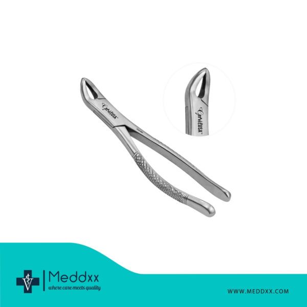 Lower Premolar Forceps