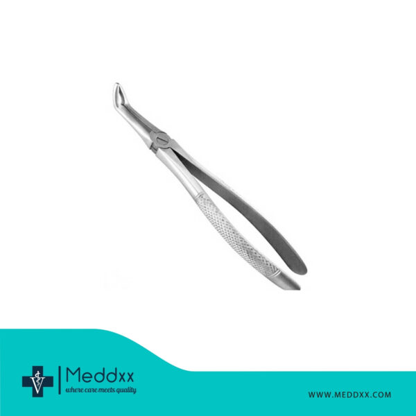 Lower Root Forceps