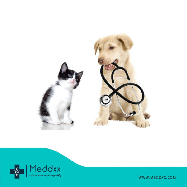 Stethoscope for Small Animals, Puppies, and Kittens